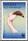 Lesser Flamingo Phoeniconaias minor  1999 WWF Strip