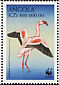 Lesser Flamingo Phoeniconaias minor  1999 WWF Strip