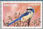 Florida Scrub Jay Aphelocoma coerulescens  1999 Fauna 6v sheet