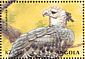 Harpy Eagle Harpia harpyja  2000 Animals of the world 6v sheet
