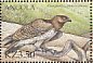 Martial Eagle Polemaetus bellicosus  2000 Birds of prey Sheet