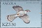 Eurasian Goshawk Accipiter gentilis