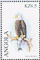 Bald Eagle Haliaeetus leucocephalus