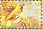 Holub's Golden Weaver Ploceus xanthops  2000 Nature heritage of Angola 12v sheet