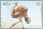 Common Ostrich Struthio camelus