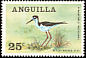 Black-necked Stilt Himantopus mexicanus  1968 Anguillan birds 