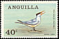 Royal Tern Thalasseus maximus  1968 Anguillan birds 