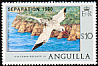 Red-billed Tropicbird Phaethon aethereus