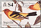 Western Tanager Piranga ludoviciana