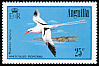 White-tailed Tropicbird Phaethon lepturus