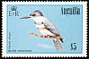 Belted Kingfisher Megaceryle alcyon