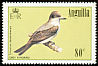 Grey Kingbird Tyrannus dominicensis  1985 Birds 
