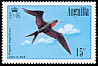 Magnificent Frigatebird Fregata magnificens  1985 Birds 