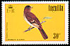 Caribbean Elaenia Elaenia martinica  1985 Birds 