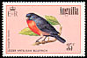 Lesser Antillean Bullfinch Loxigilla noctis