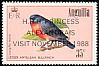 Lesser Antillean Bullfinch Loxigilla noctis