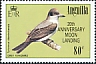 Grey Kingbird Tyrannus dominicensis