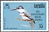 Belted Kingfisher Megaceryle alcyon