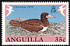 Brown Booby Sula leucogaster