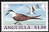 Bridled Tern Onychoprion anaethetus