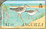 Greater Yellowlegs Tringa melanoleuca