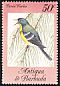 Northern Parula Setophaga americana  1984 Songbirds 
