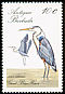 Great Blue Heron Ardea herodias  1988 Birds of Antigua 