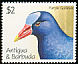 Purple Gallinule Porphyrio martinica