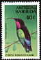 Purple-throated Carib Eulampis jugularis  1994 Birds 