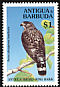 Broad-winged Hawk Buteo platypterus  1994 Birds 