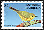 Mangrove Warbler Setophaga petechia  1994 Birds 