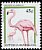 American Flamingo Phoenicopterus ruber  1995 Birds 