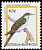 Yellow-billed Cuckoo Coccyzus americanus  1995 Birds 