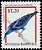 Red-legged Honeycreeper Cyanerpes cyaneus  1995 Birds 