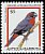 Greater Antillean Bullfinch Melopyrrha violacea  1995 Birds 