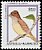 Caribbean Elaenia Elaenia martinica  1995 Birds 