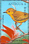 Mangrove Warbler Setophaga petechia