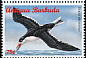 Black Skimmer Rynchops niger  1996 Seabirds Strip