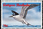 Sooty Tern Onychoprion fuscatus  1996 Seabirds Strip