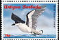 Black-capped Petrel Pterodroma hasitata  1996 Seabirds Strip