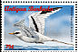 White-tailed Tropicbird Phaethon lepturus  1996 Seabirds Strip