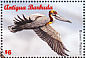 Brown Pelican Pelecanus occidentalis  1996 Seabirds  MS MS