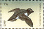 Little Auk Alle alle  1998 Seabirds of the world Sheet