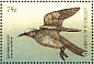 Brown Noddy Anous stolidus  1998 Seabirds of the world Sheet