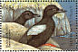 Black Guillemot Cepphus grylle  1998 Seabirds of the world Sheet