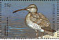 Eurasian Whimbrel Numenius phaeopus  1998 Seabirds of the world Sheet