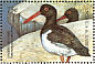 American Oystercatcher Haematopus palliatus  1998 Seabirds of the world Sheet