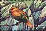 Golden Parakeet Guaruba guarouba  2000 Stamp Show 2000 Sheet