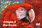 Scarlet Macaw Ara macao  2000 Animals of the rain forest  MS MS
