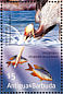 Brown Pelican Pelecanus occidentalis  2001 Marine life of the tropics  MS
